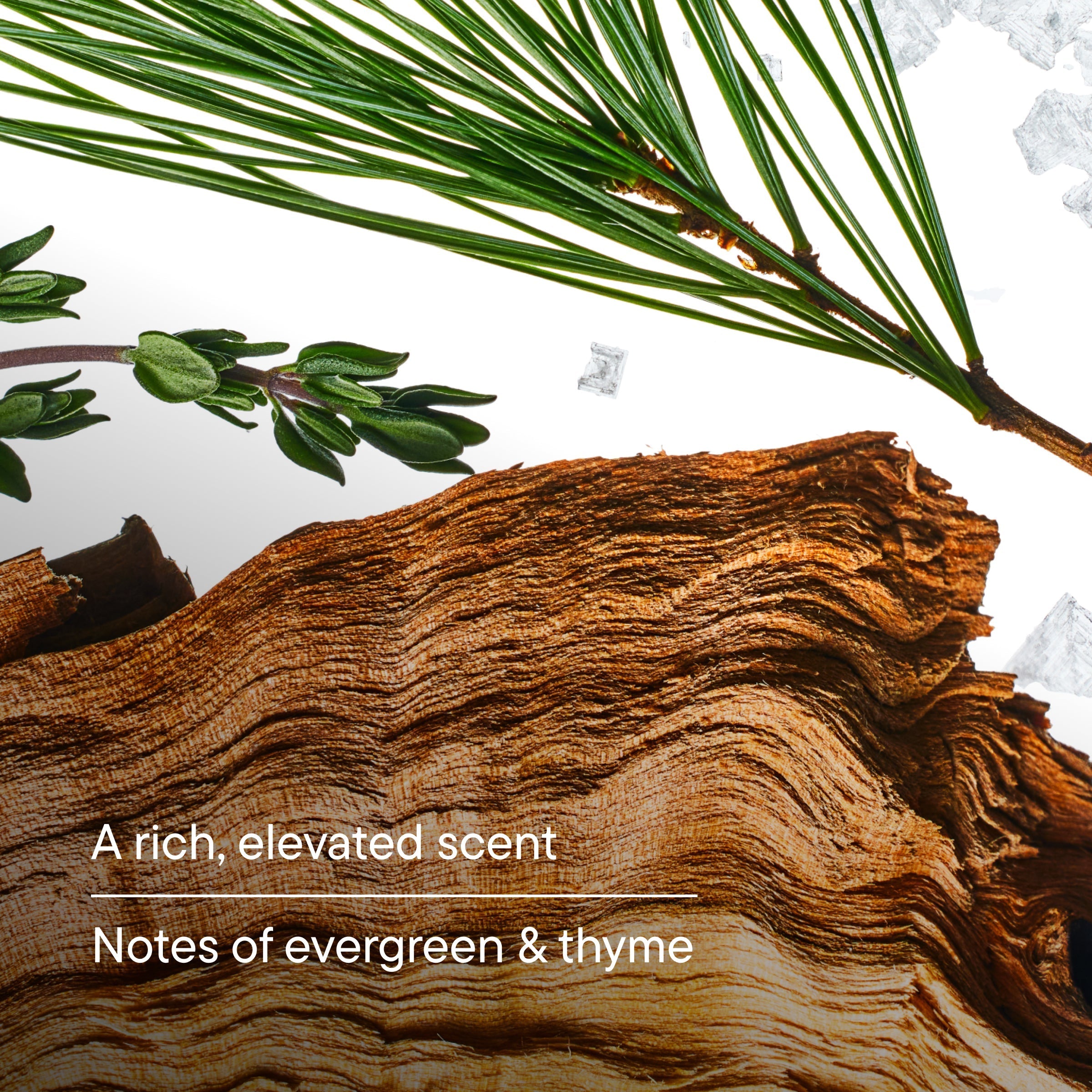 Head to Toe Cleansers